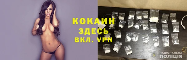 шишки Наволоки