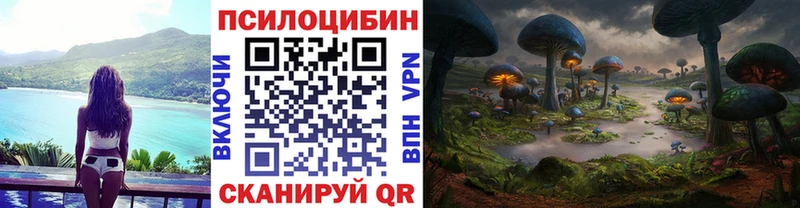 Галлюциногенные грибы Psilocybine cubensis  где продают наркотики  Нарткала 