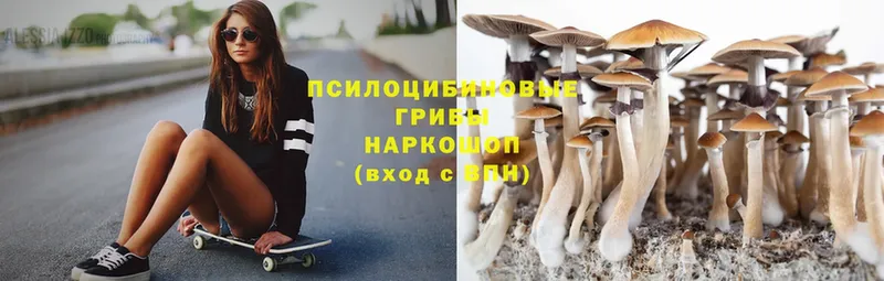 Псилоцибиновые грибы Psilocybe  цены наркотик  Нарткала 