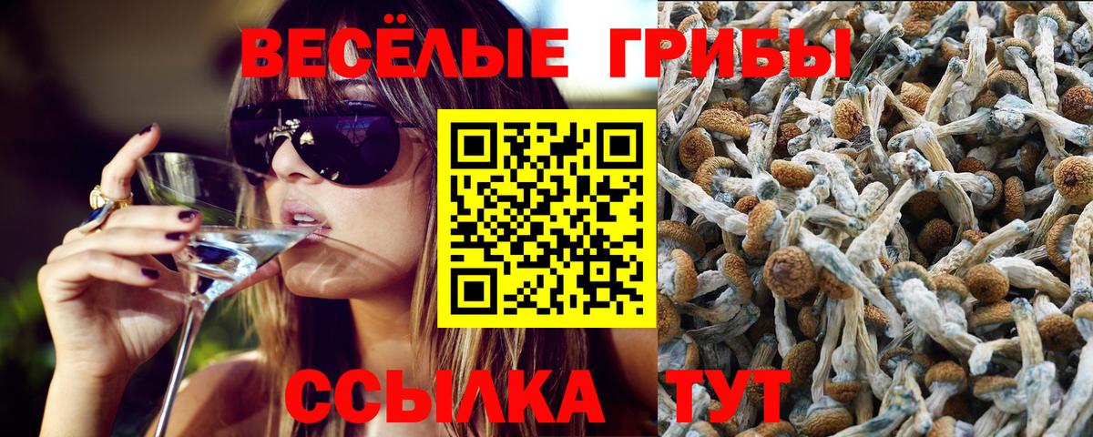 МЕФ  Alpha-PVP  CBD масло  Марихуана  КОКАИН  Нарткала  Вход с VPN 