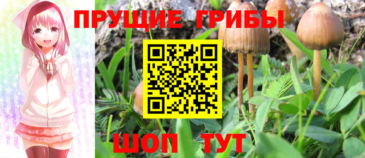 Галлюциногенные грибы мицелий Нарткала