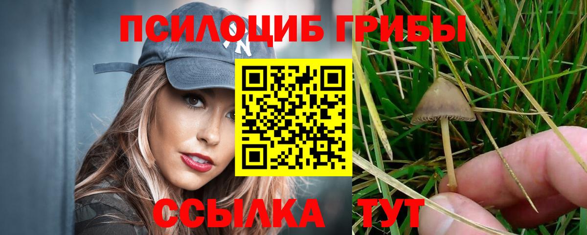 Галлюциногенные грибы мицелий Нарткала